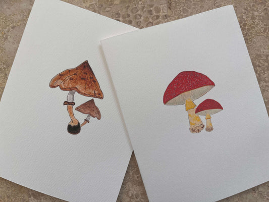 Red Cap Pointy Cap Mushroom Illustrated Assortment Note Card Set