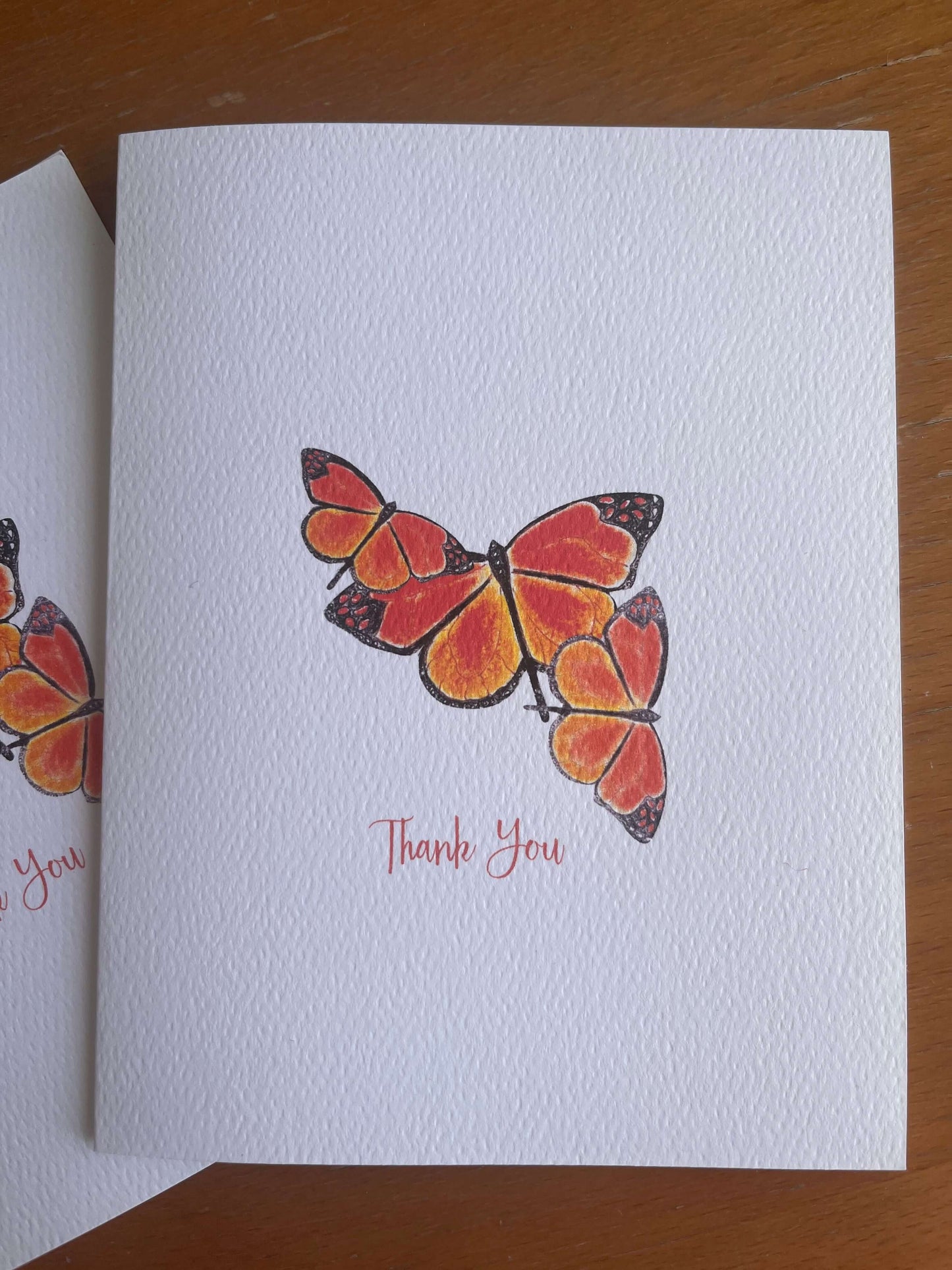 Monarch Butterfly Illustrated Note Card Set