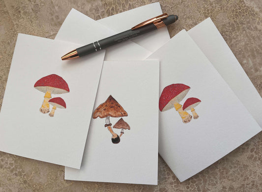 Red Cap Pointy Cap Mushroom Illustrated Assortment Note Card Set