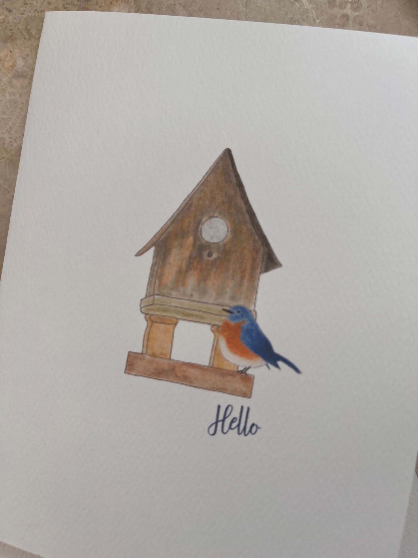 Bird House Illustrated Assorted Greetings Note Card Set