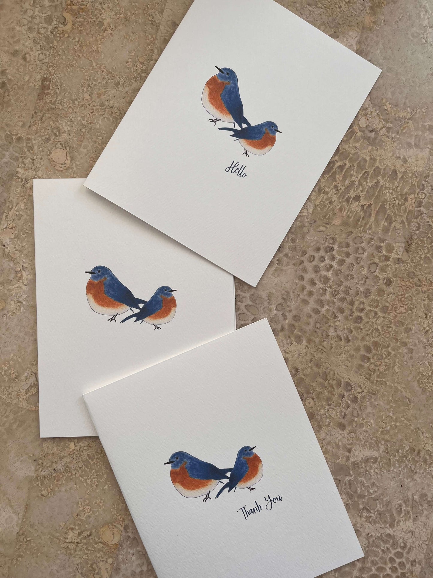 Blue Birds Illustrated Assorted Greeting Note Card Set