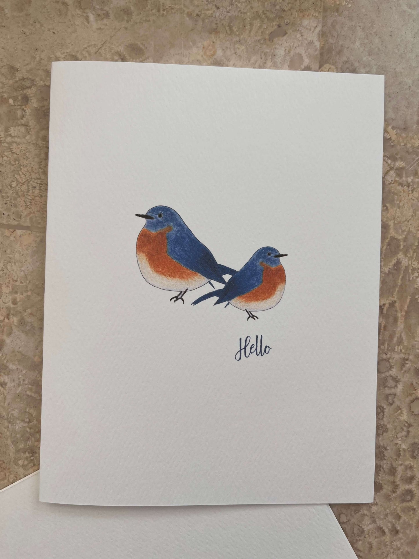 Blue Birds Illustrated Assorted Greeting Note Card Set