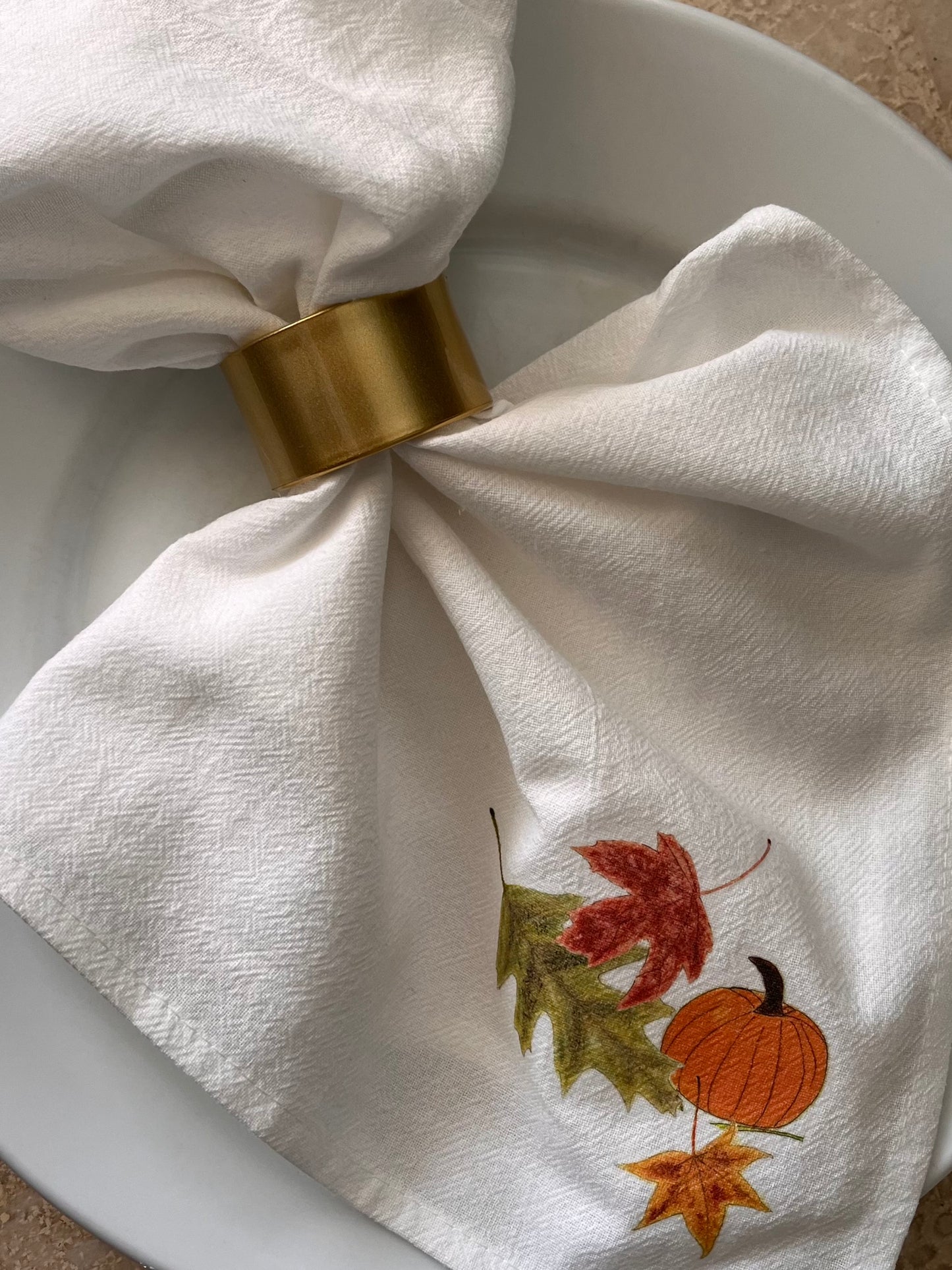 Autumn Harvest Pumpkin Cloth Napkin Set